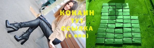ешки Аркадак