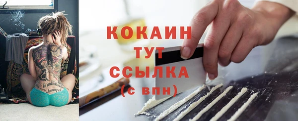 ешки Аркадак