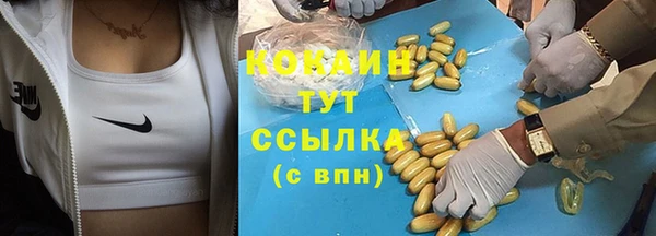 ПСИЛОЦИБИНОВЫЕ ГРИБЫ Арсеньев