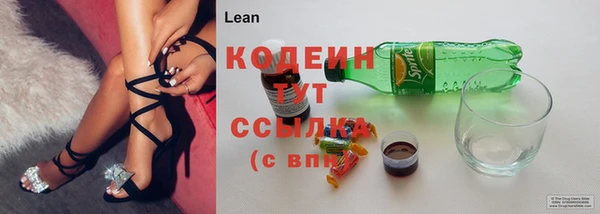 ПСИЛОЦИБИНОВЫЕ ГРИБЫ Арсеньев