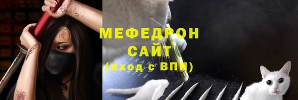 ешки Аркадак