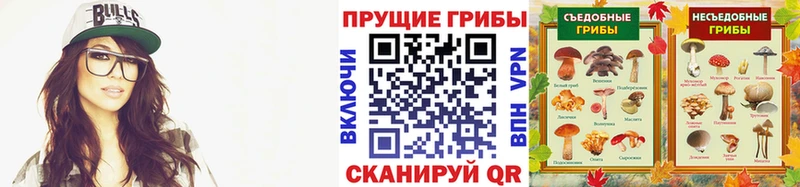 Галлюциногенные грибы ЛСД Междуреченск