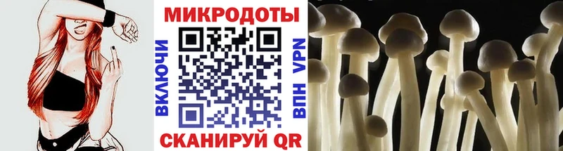 Псилоцибиновые грибы Cubensis  Междуреченск 