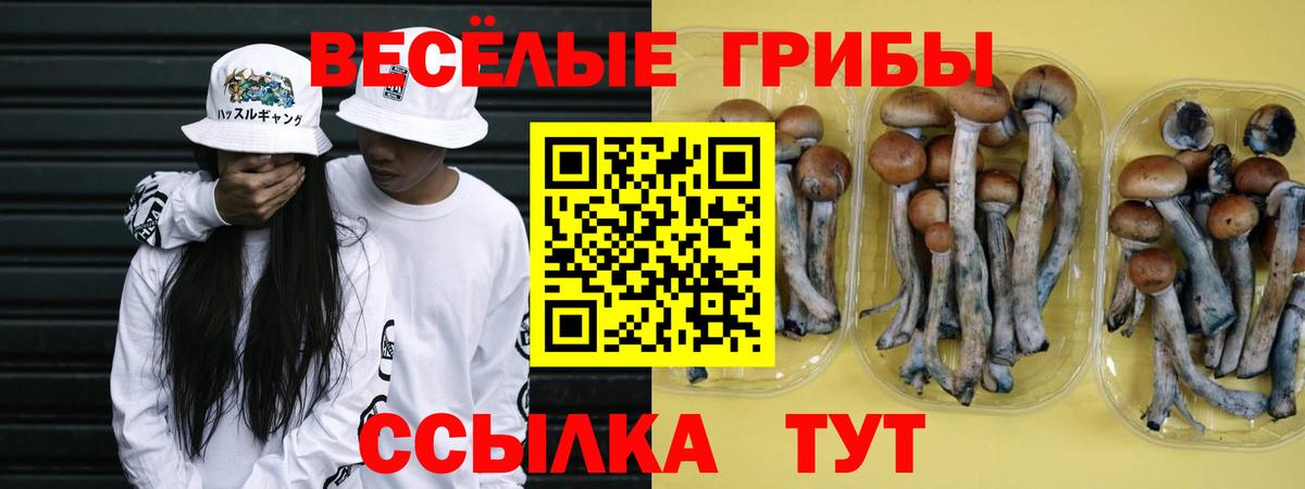 Псилоцибиновые грибы мухоморы  Вход с VPN  Междуреченск 